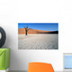 dead vlei 02, namibia Wall Mural