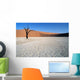 dead vlei 02, namibia Wall Mural