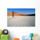 dead vlei 02, namibia Wall Mural