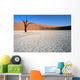 dead vlei 02, namibia Wall Mural