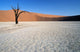 dead vlei 02, namibia Wall Mural