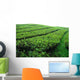 Tea Leaves Wall Decal