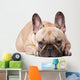 Cute french Bulldog Wall Decal