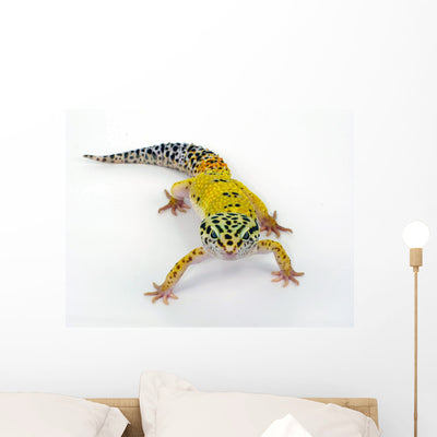 Geco Leopardino Wall Decal shown on a wall