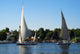 Nile Boat Wall Mural