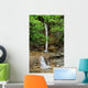 Waterfall Wall Mural