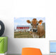 Jersey Cow in a Pasture Wall Mural