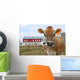 Jersey Cow in a Pasture Wall Mural