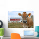 Jersey Cow in a Pasture Wall Mural