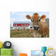 Jersey Cow in a Pasture Wall Mural