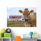 Jersey Cow in a Pasture Wall Mural