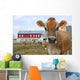 Jersey Cow in a Pasture Wall Mural