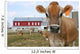 Jersey Cow in a Pasture Wall Mural