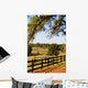 Pasture Fence