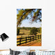 Pasture Fence
