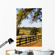 Pasture Fence