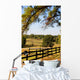 Pasture Fence