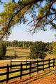 Pasture Fence