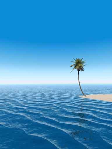 Palm Cape V Wall Decal