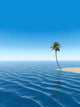 Palm Cape V Wall Decal