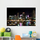 Skyline of downtown Miami at night Wall Mural