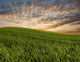 Landscape Wall Mural