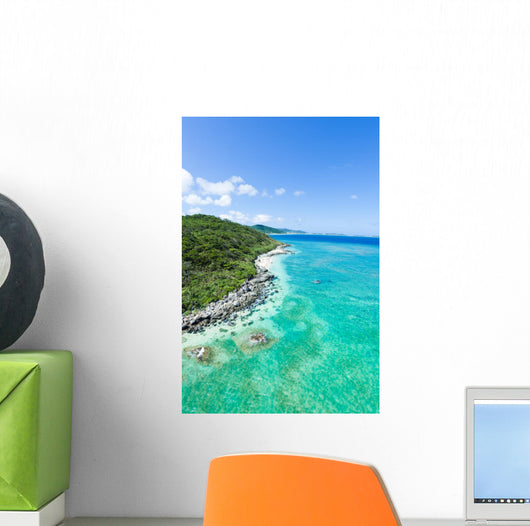 Aerial view of tropical island, clear blue water and coral reef Wall Mural