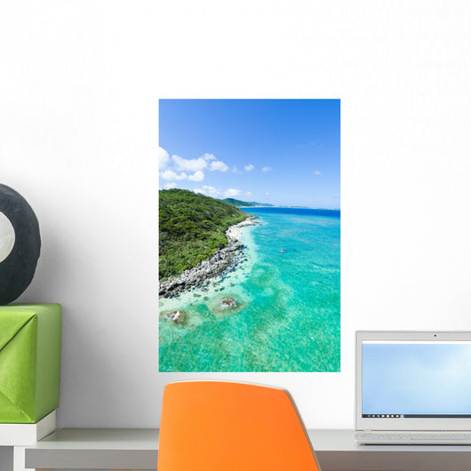 Aerial view of tropical island, clear blue water and coral reef Wall Mural
