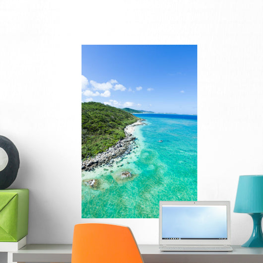 Aerial view of tropical island, clear blue water and coral reef Wall Mural