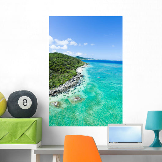 Aerial view of tropical island, clear blue water and coral reef Wall Mural