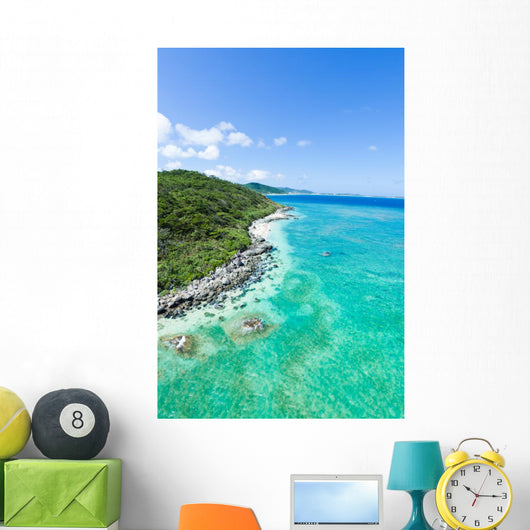 Aerial view of tropical island, clear blue water and coral reef Wall Mural