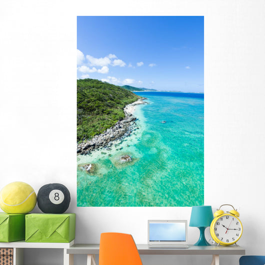Aerial view of tropical island, clear blue water and coral reef Wall Mural