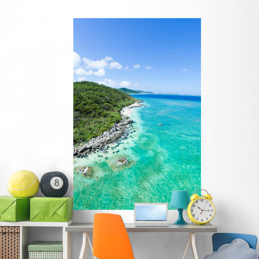 Aerial view of tropical island, clear blue water and coral reef Wall Mural