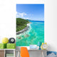 Aerial view of tropical island, clear blue water and coral reef Wall Mural