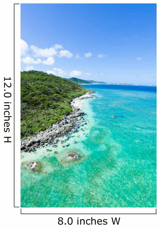 Aerial view of tropical island, clear blue water and coral reef Wall Mural