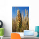Wheat Field Wall Decal Design 2
