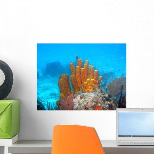 Sponge Wall Decal Design 2