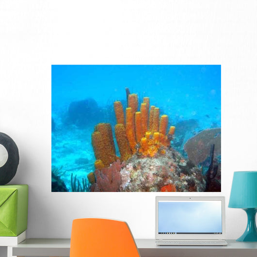 Sponge Wall Decal Design 2