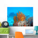 Sponge Wall Decal Design 2
