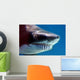 shark with mouthful of teeth Wall Mural