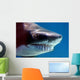 shark with mouthful of teeth Wall Mural