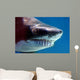 Shark with Mouthful Teeth Wall Decal