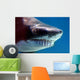 shark with mouthful of teeth Wall Mural