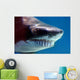 shark with mouthful of teeth Wall Mural