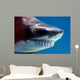 Shark with Mouthful Teeth Wall Decal