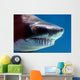 shark with mouthful of teeth Wall Mural