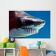 shark with mouthful of teeth Wall Mural