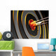 Arrows and Target Iv Wall Mural