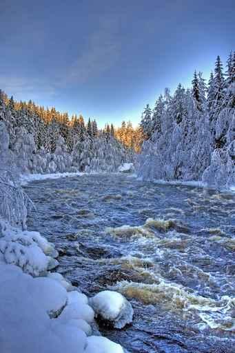 Whitewater Winter Wall Decal