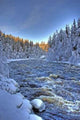 Whitewater Winter Wall Decal